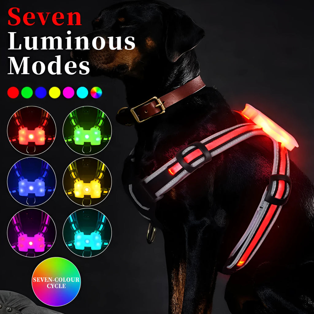 Luminous dog lead with seven-colour LED illumination and hand-held design for night-time walking
