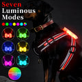 Luminous dog lead with seven-colour LED illumination and hand-held design for night-time walking