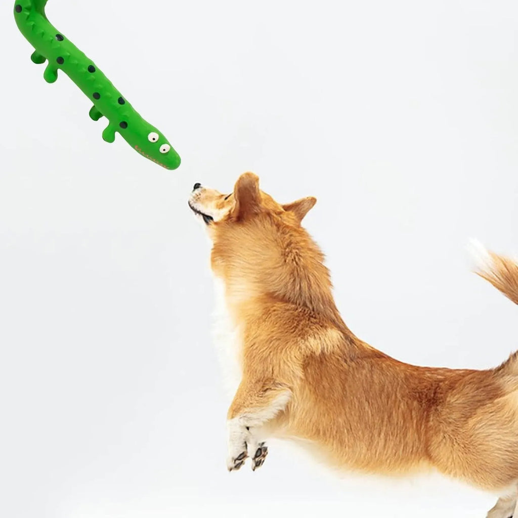 Green cartoon lizard dog chew toy with squeaker on white background