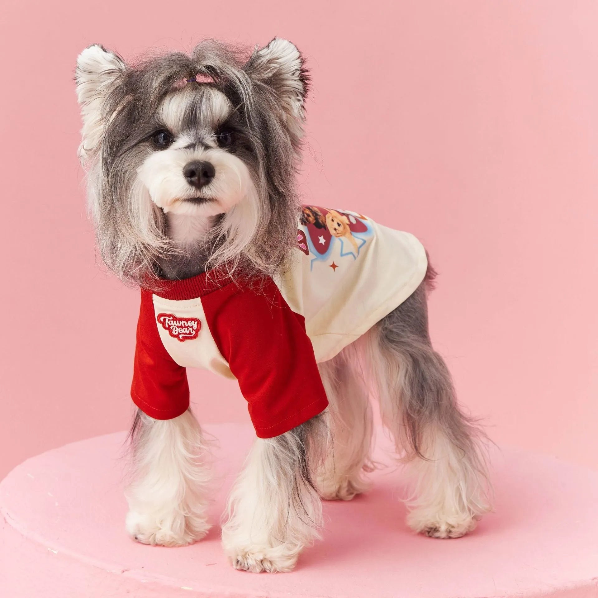 Cotton summer dog outfit with contrast embroidery in red or pink colours