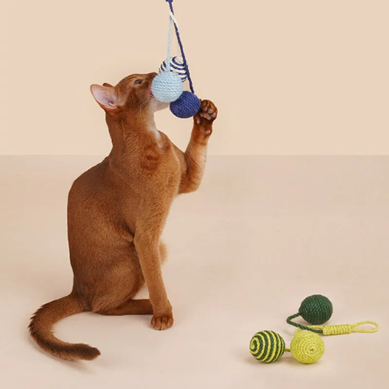 Bite-resistant cat teaser stick set with colourful catnip balls on blue background