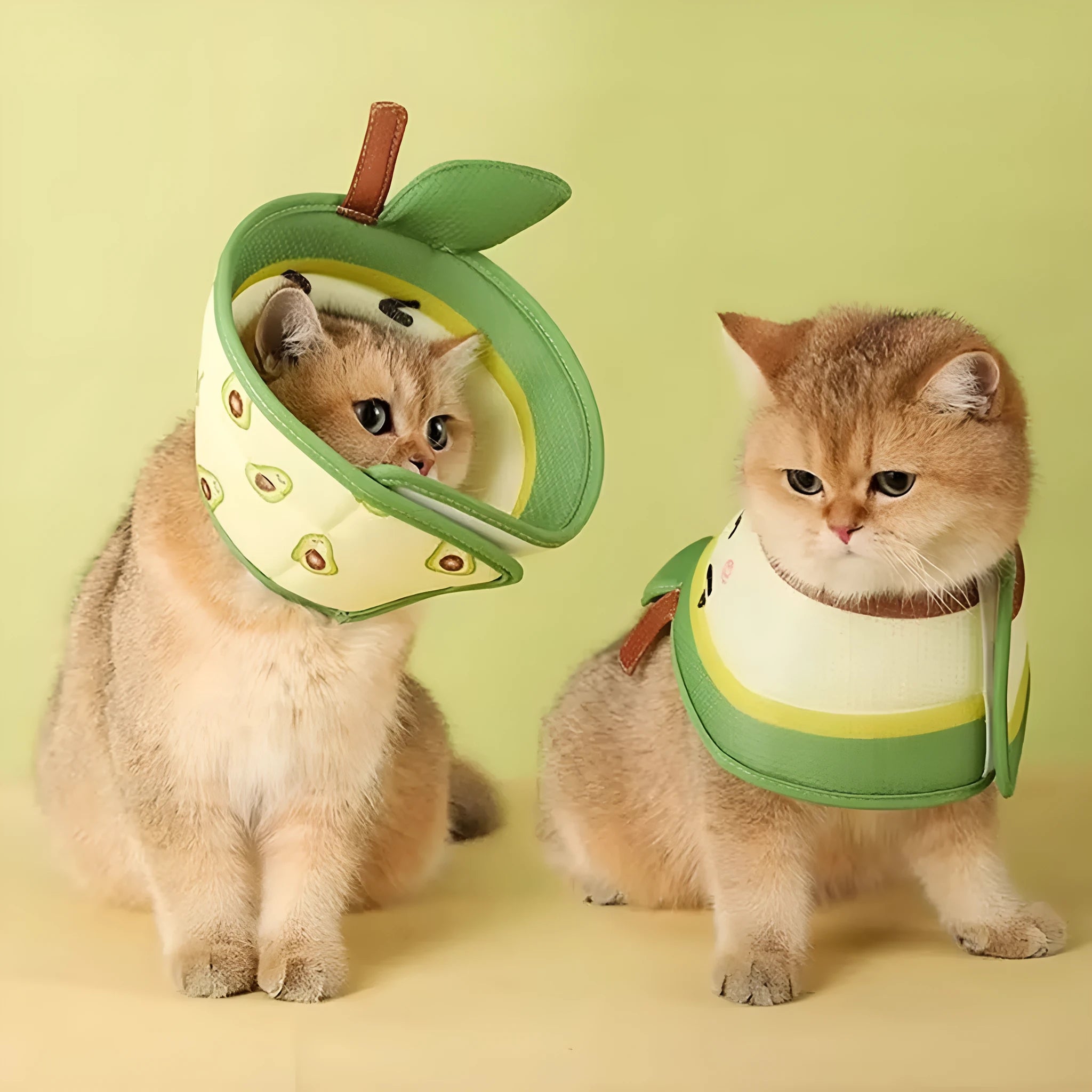 Soft EPE cat cone collar with adjustable strap for post-surgery protection