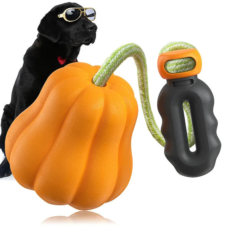 Pumpkin orange plastic dog chew toy with rope attachment for throwing games