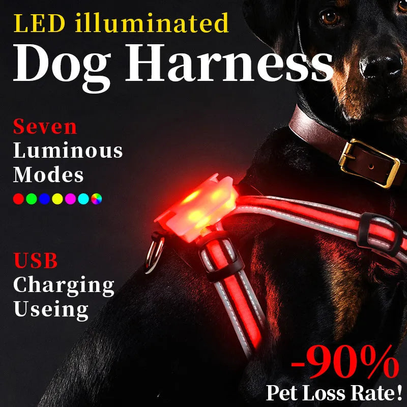 Luminous dog lead with seven-colour LED illumination and hand-held design for night-time walking