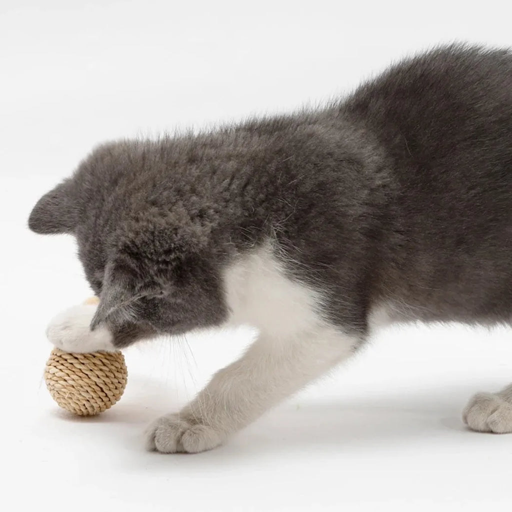 Set of two cat toys: hollow rattan ball and faux feather bell ball with bell for kitten play.