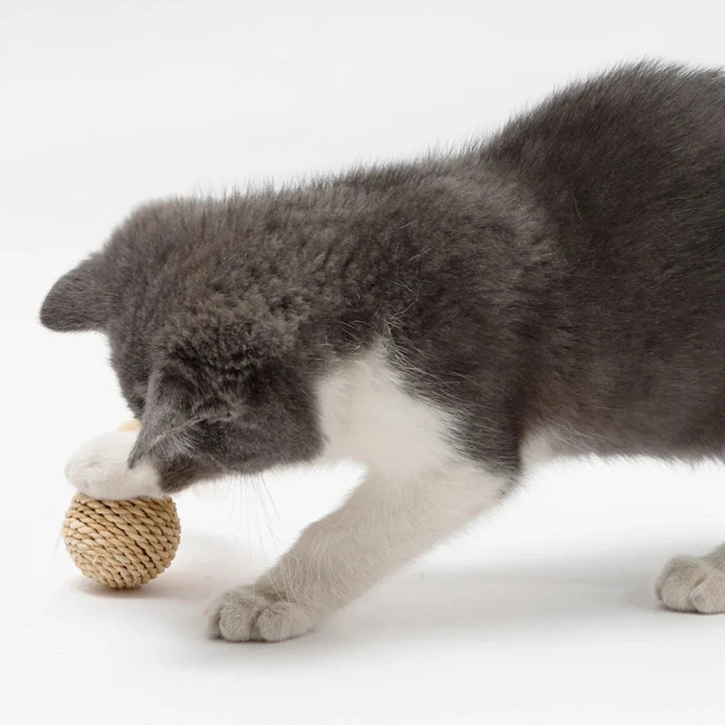 Set of two cat toys: hollow rattan ball and faux feather bell ball with bell for kitten play.
