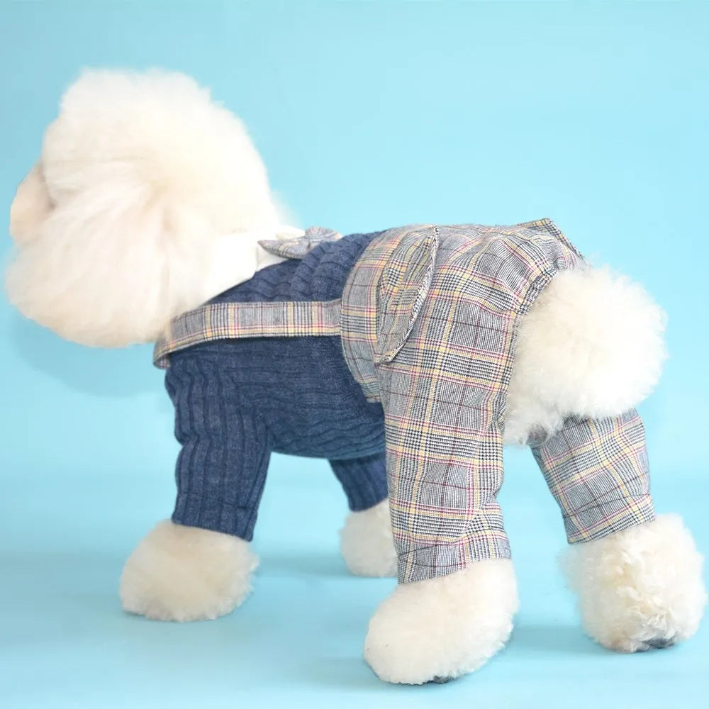 Orange cotton dog suit shirt for small dogs laid flat showing simple shirt design