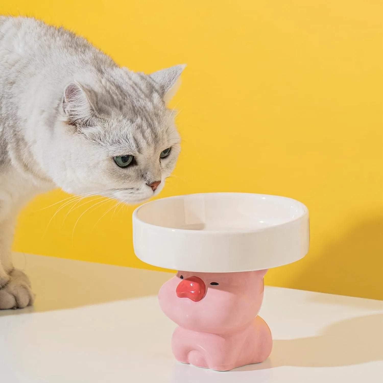 Raised ceramic pet bowl with animal design for cats and small dogs