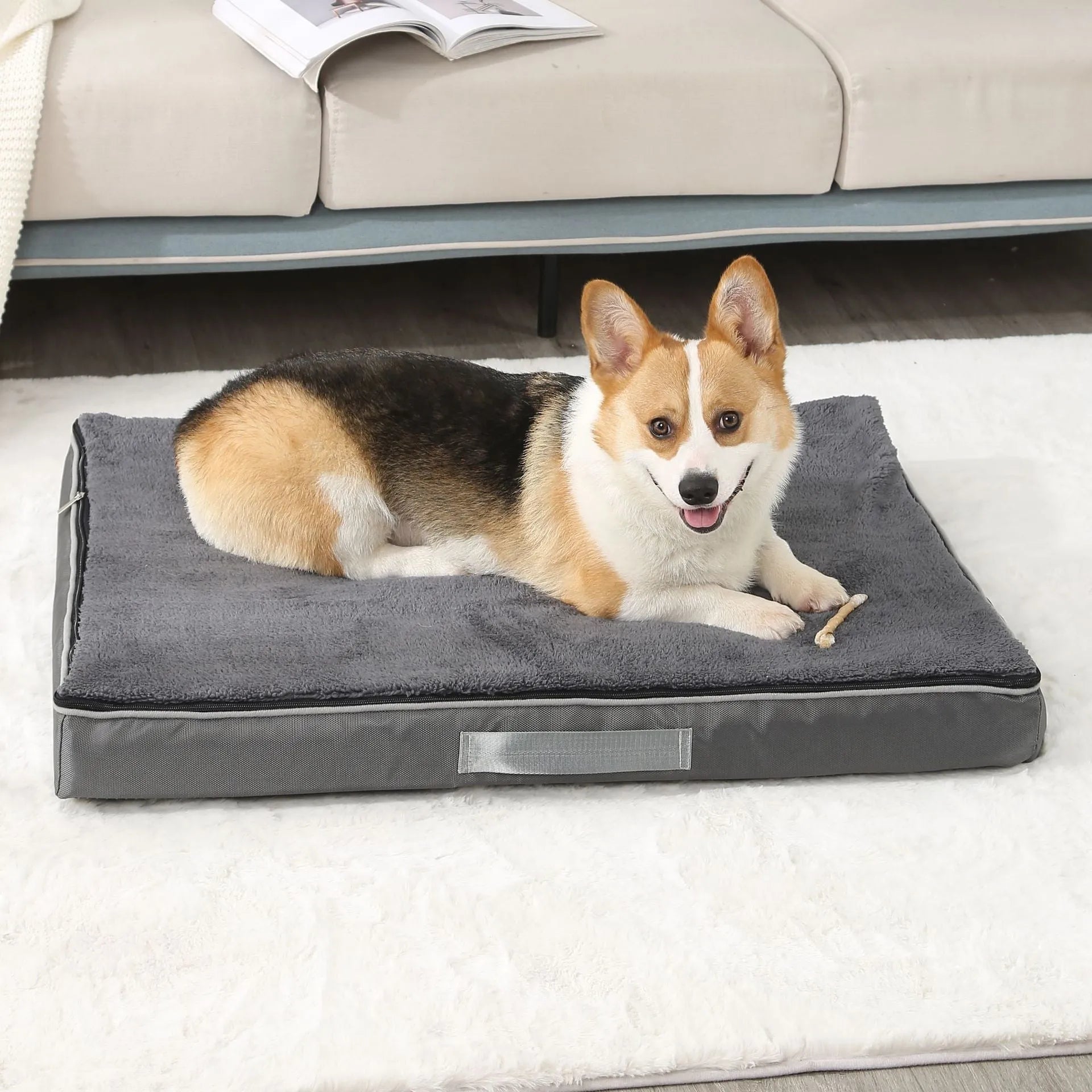 Removable cover memory sponge dog mat in brown colour showing size options