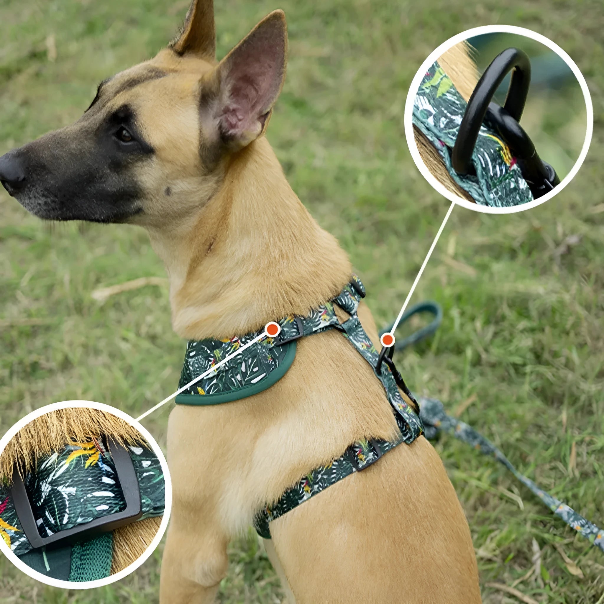Adjustable cloth dog harness set with six pieces including vest, collar, rope, waste bag, bow tie, and scarf