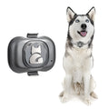 Black GF-07 pet GPS locator with hanging rope and data cable for tracking dogs and cats