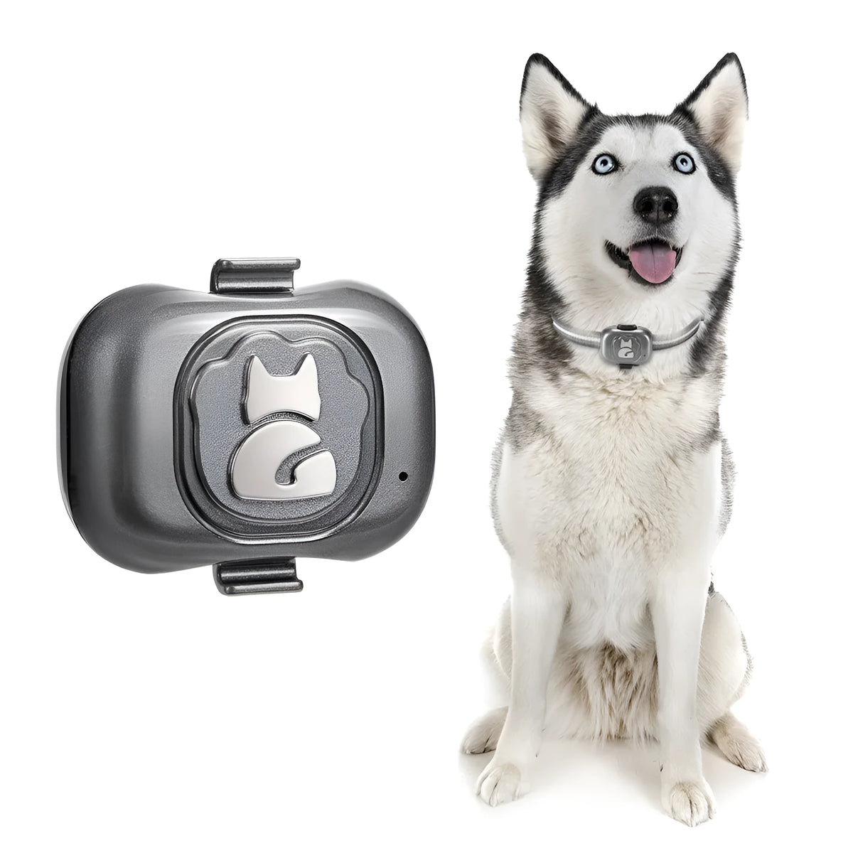 Black GF-07 pet GPS locator with hanging rope and data cable for tracking dogs and cats