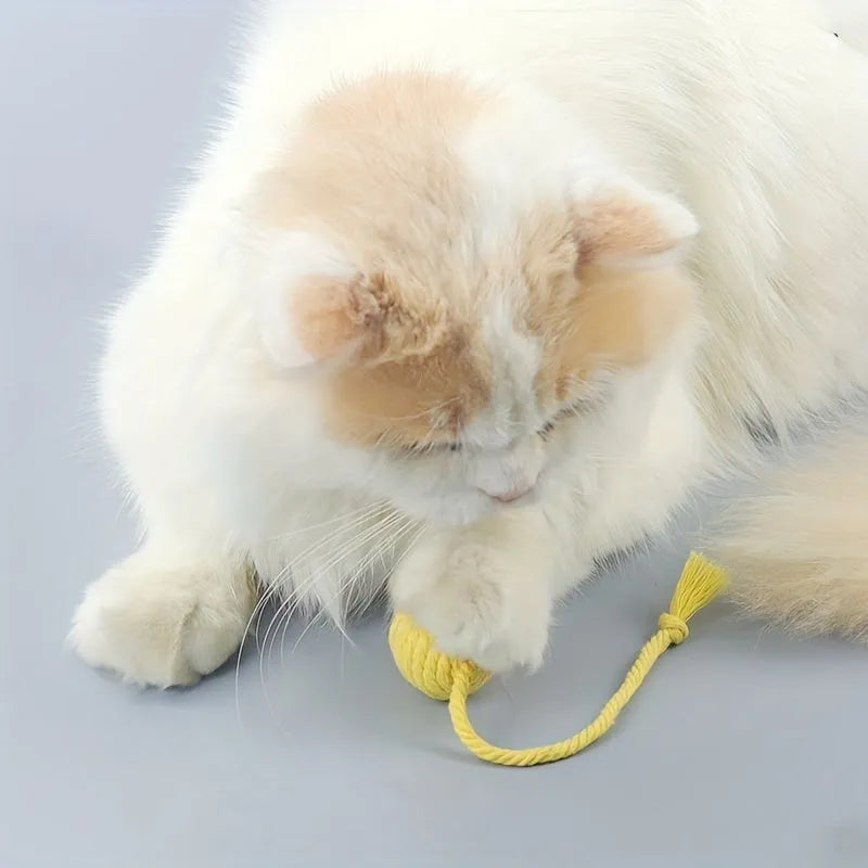Colourful cat toy ball with attached rope and internal bell for interactive feline play