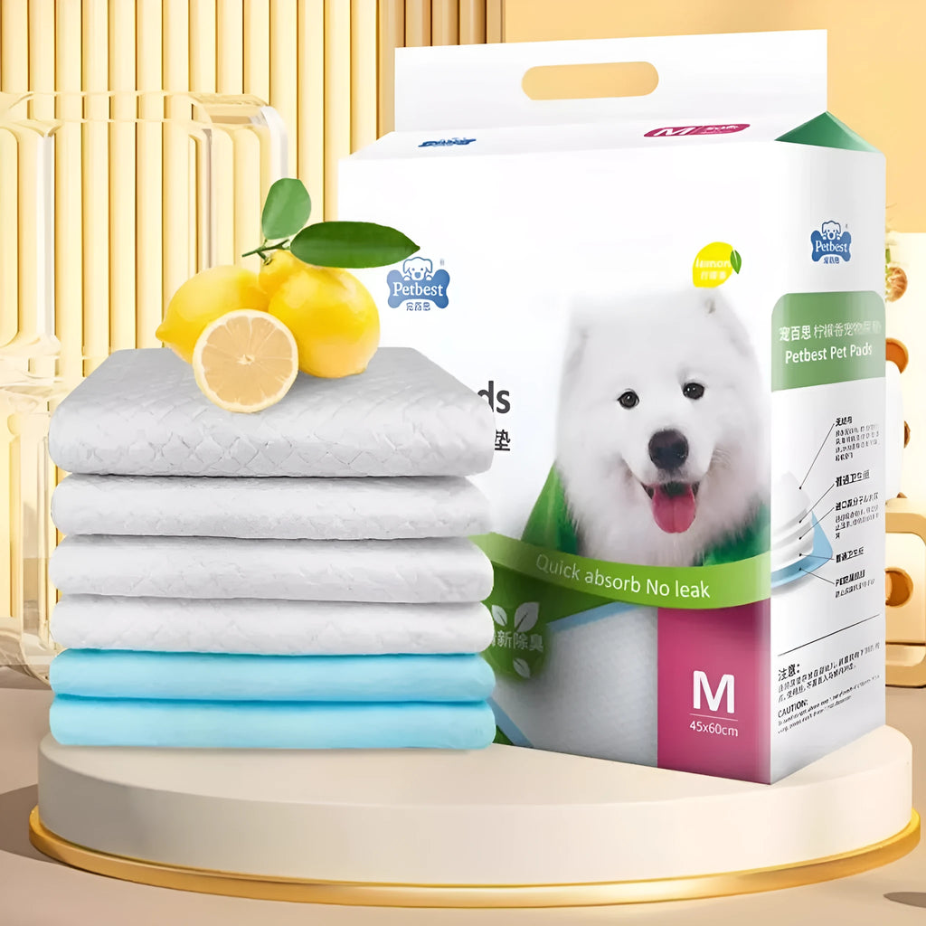 Thickened dog urine pads showing four size options with adhesive backing and bamboo charcoal deodorising features