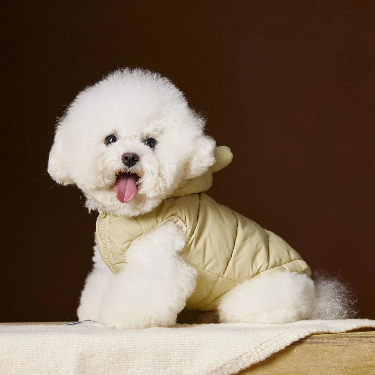 Sleeveless hooded dog down vest in beige or gray, polyester with 90 velvet filling, sizes XS-XXL
