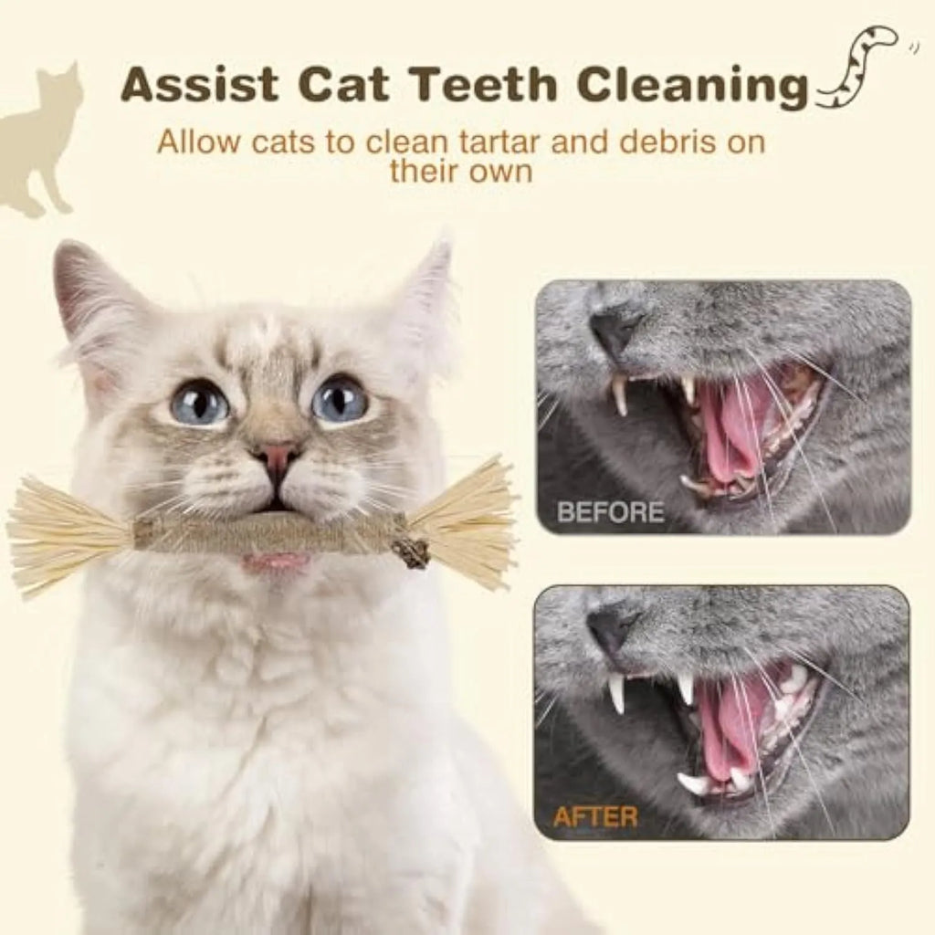 3 pack silvervine chew sticks for cats with sisal rope and raffia dental cleaning texture