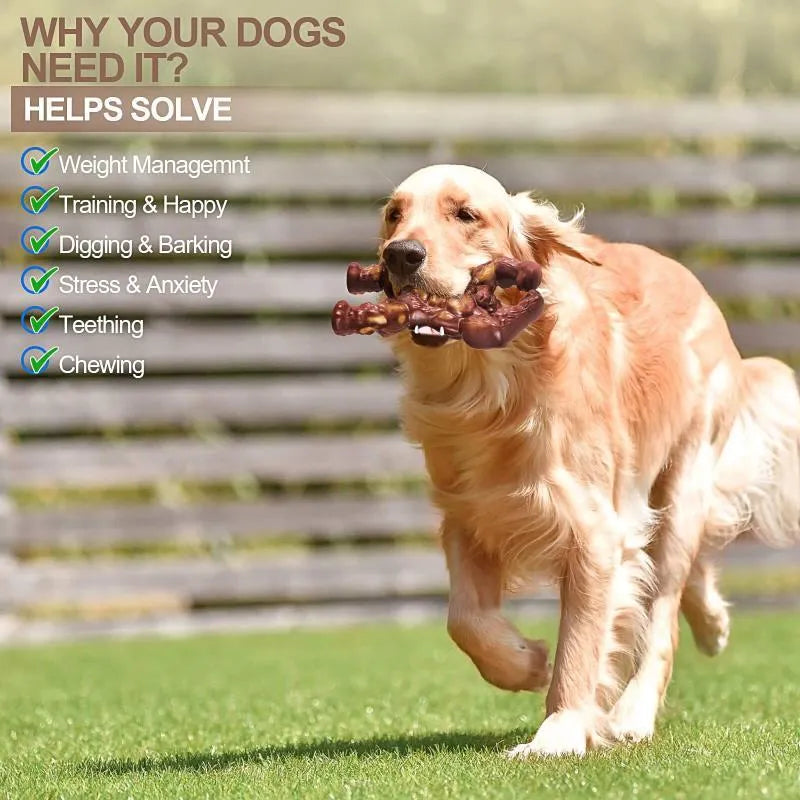 Scarlet nylon dog chew toy with beef flavour scent, measuring 10.7x17.2x5 cm for medium and large breeds