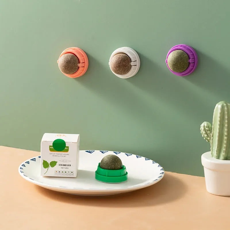 A plastic catnip chew ball toy for dental cleaning, shown in assorted colours including pink, blue, and green.