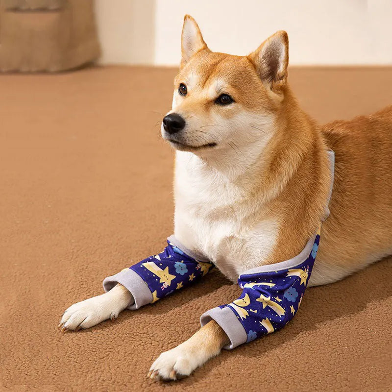 Blue dog knee protector sleeve with padded elbow patch and matching scarf, showing plastic buckle adjustment.