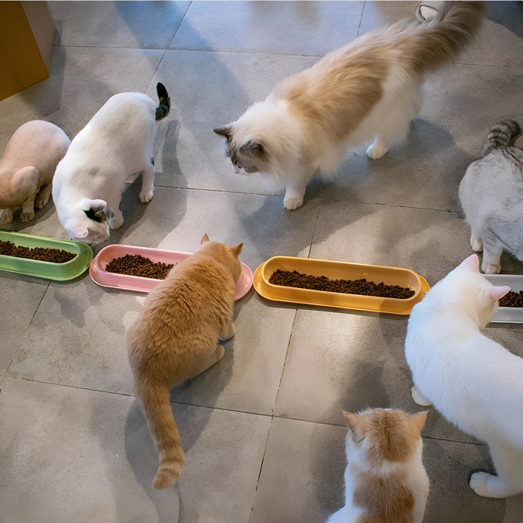 Four-compartment leakproof pet feeder bowl in pink colour for dogs and cats