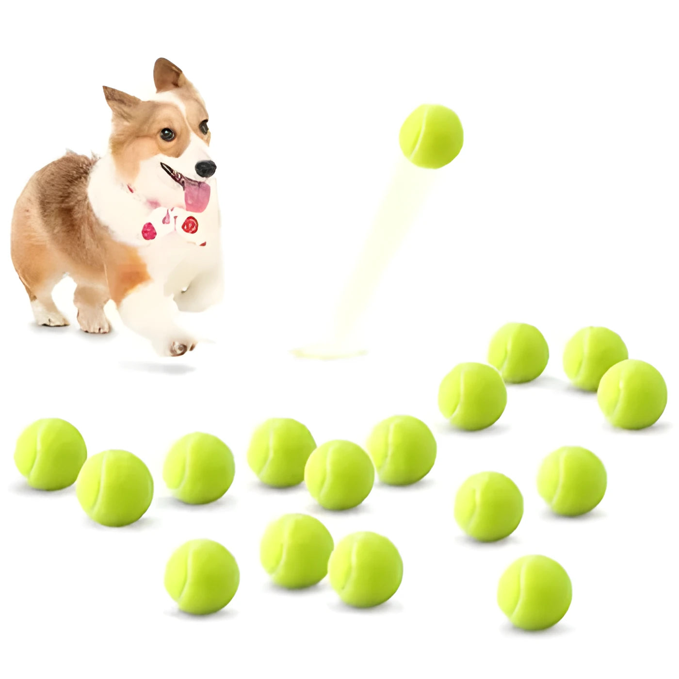 6.3cm diameter dog tennis ball toy in five colour options including fluorescent green, made from bite-resistant rubber.