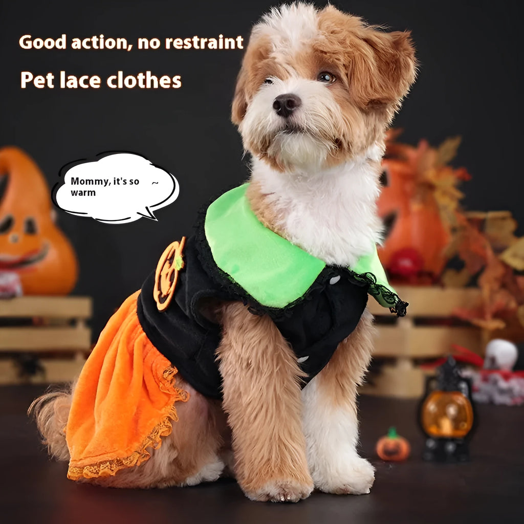 Crystal velvet pet Halloween costume showing pumpkin skirt and sweater options for small dogs and cats