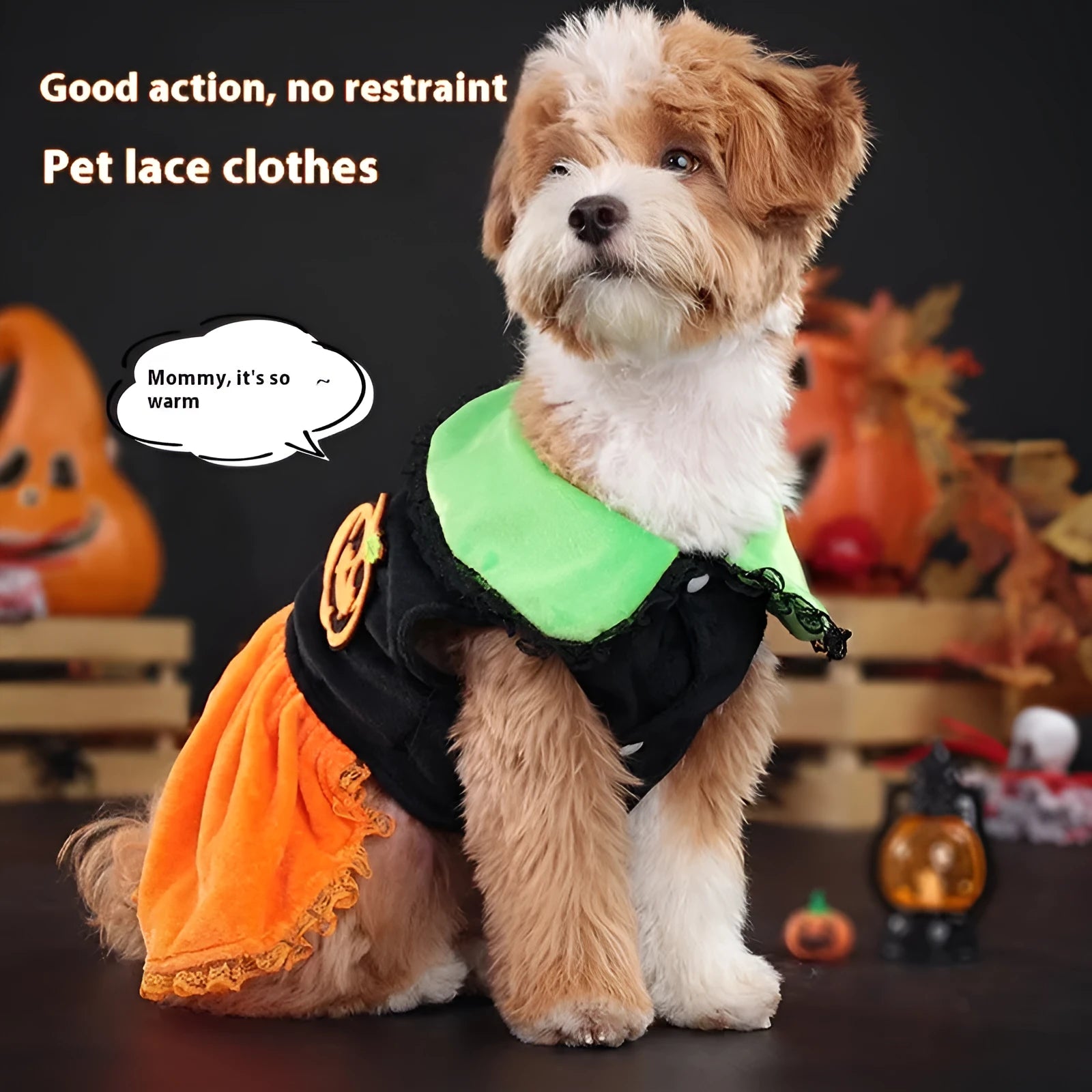 Crystal velvet pet Halloween costume showing pumpkin skirt and sweater options for small dogs and cats