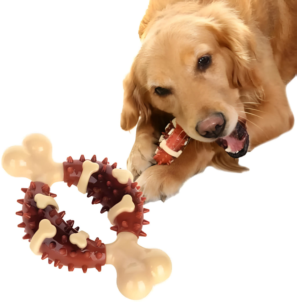 Bone-shaped natural rubber dog dental chew toy for teeth cleaning and anxiety relief