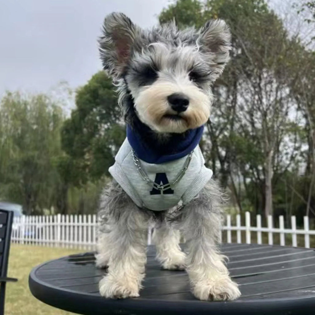 Blue and grey white pet hoodie with reflective letters, slim-fitting design for cats and dogs