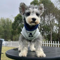 Blue and grey white pet hoodie with reflective letters, slim-fitting design for cats and dogs