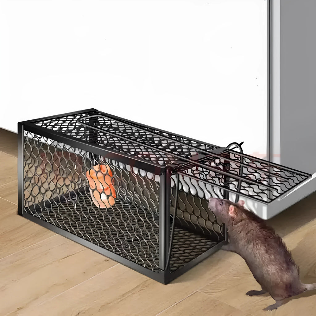 Automatic reusable mouse cage trap for indoor use, shown in small, medium, and large size options.