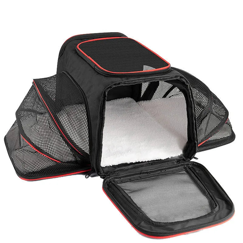 600D cationic cat carrier bag in black with red piping, showing shoulder strap and medium-soft construction