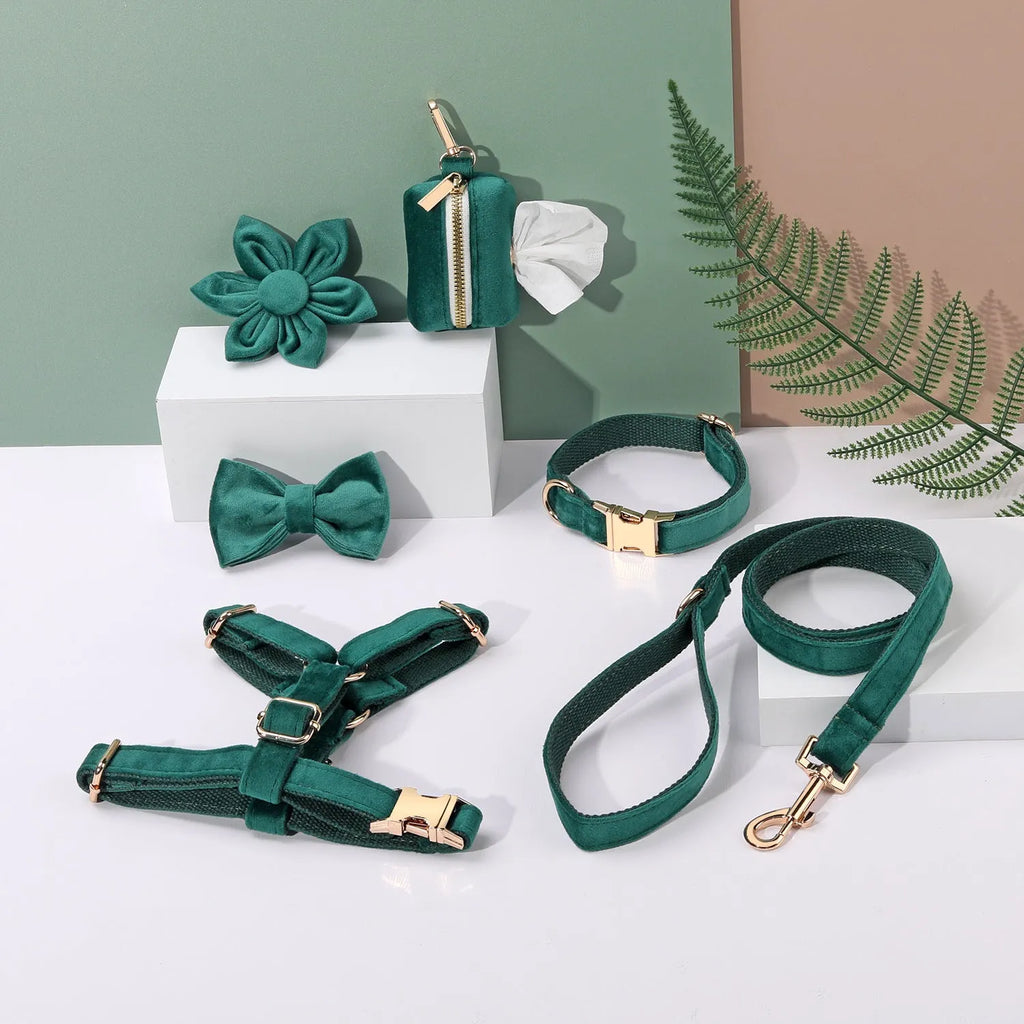 Velvet dog collar and lead set with chest strap, decorative bow tie, and flower accessory in multiple colour options