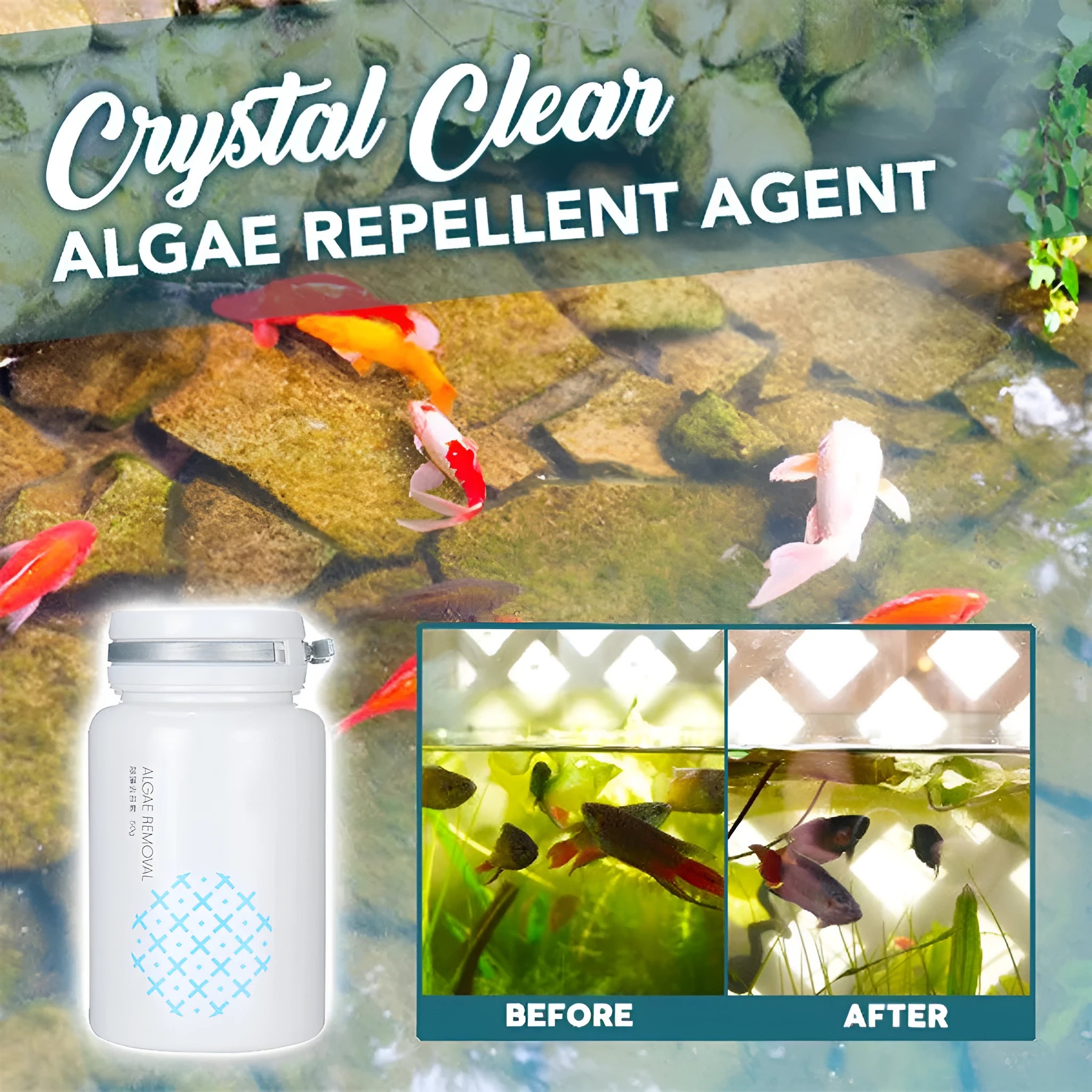 50g swimming pool algaecide bottle for algae removal and water treatment