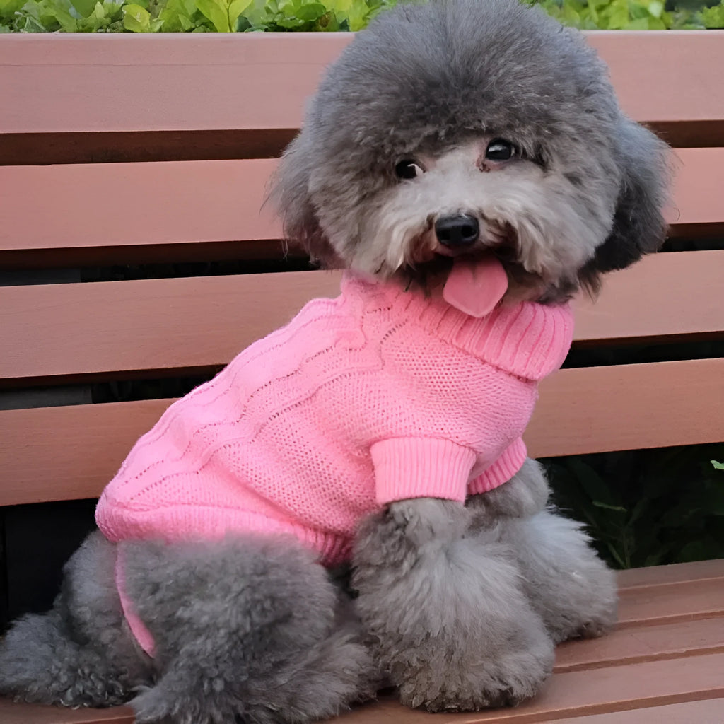 Knitted wool dog sweater with fabric buttons, available in eight colours and sizes XS to XXL