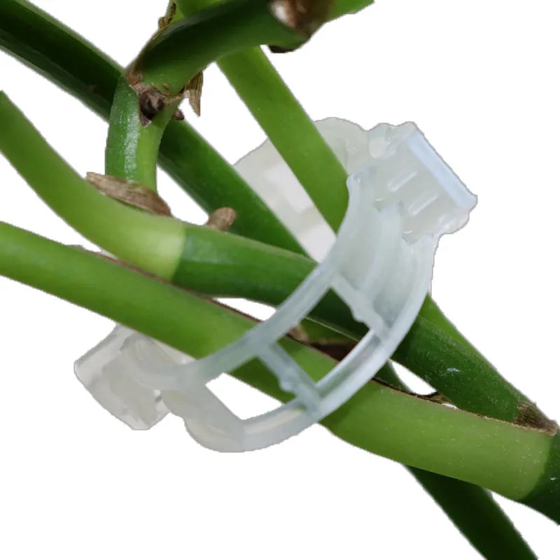 50 plastic gardening clips for tomato plant support and flower twig retention in assorted colours