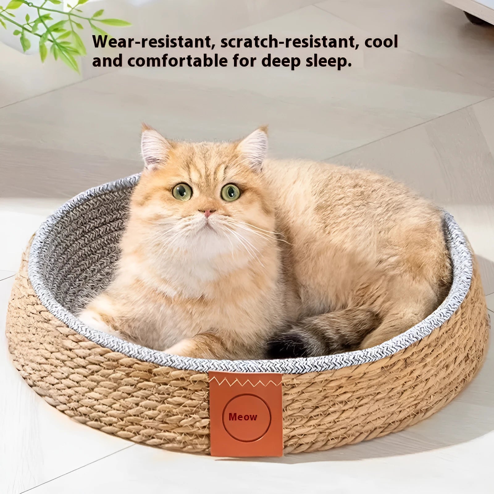 Rattan woven cat bed for pets showing breathable construction with natural material texture