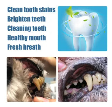 Pet teeth whitening pen with dental brushes for dog and cat tartar reduction