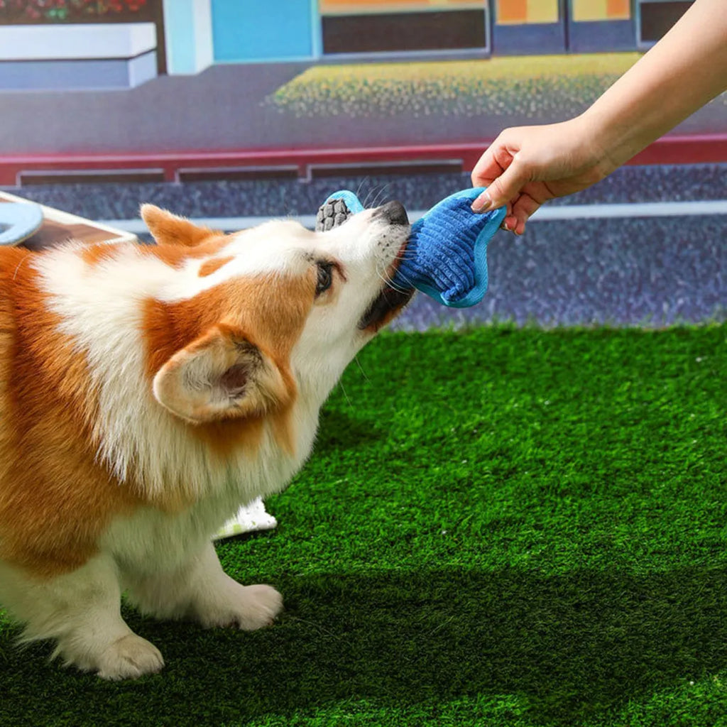 Blue bone-shaped teddy dog toy with squeaky ball inside and corn fleece lining