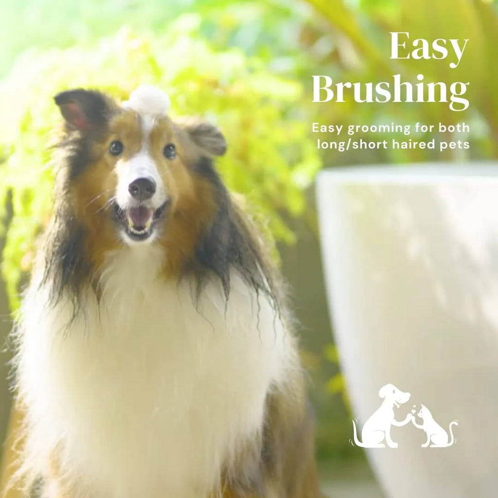 Blue self-cleaning slicker brush for pet grooming with ergonomic rubber handle.