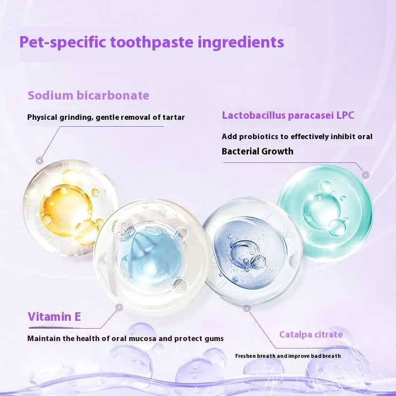 White and blue pet toothbrush pen for dog and cat dental care with brush tip