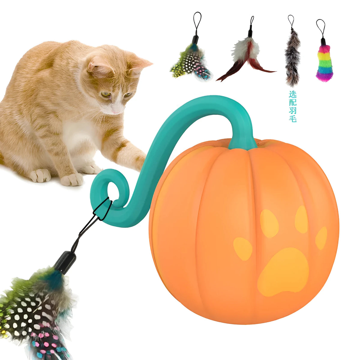 Electric cat toy with luminous ball in watermelon and pumpkin colour designs for indoor feline entertainment