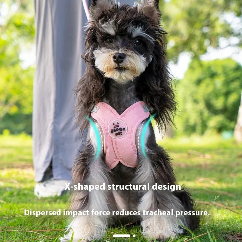 Polyester dog vest and hand holding rope set in blue, green, pink, or yellow colour