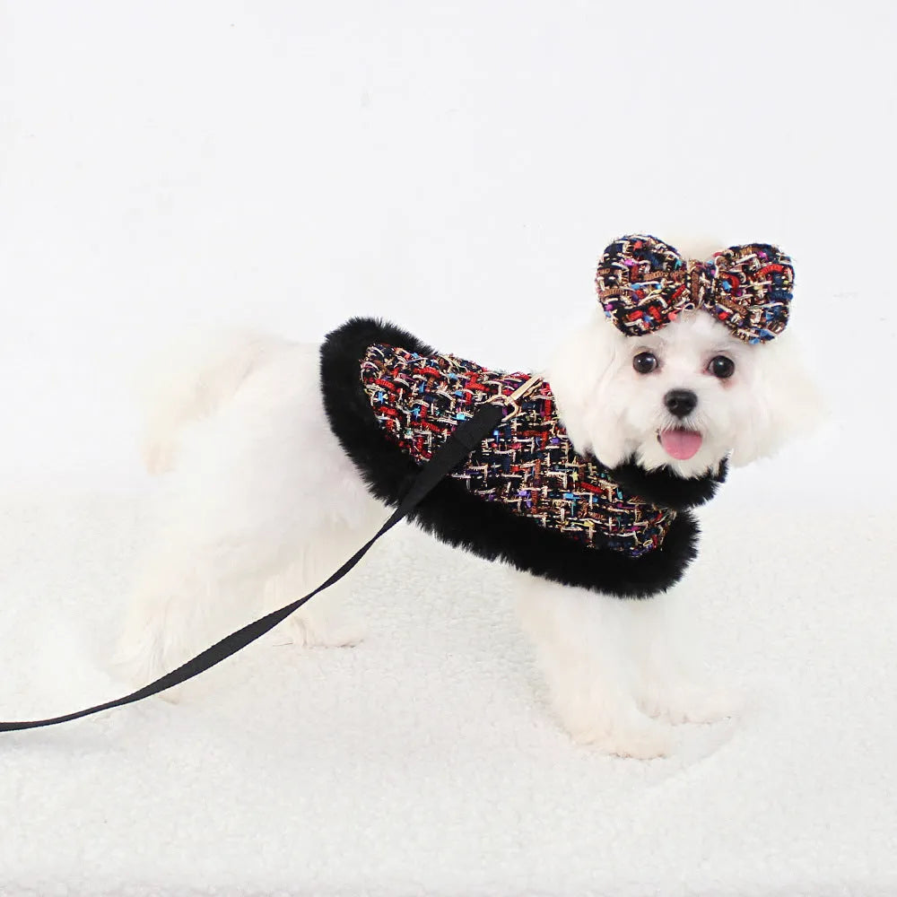 Classic-style dog wearing a cloth cloak with a chest strap and handheld lead.