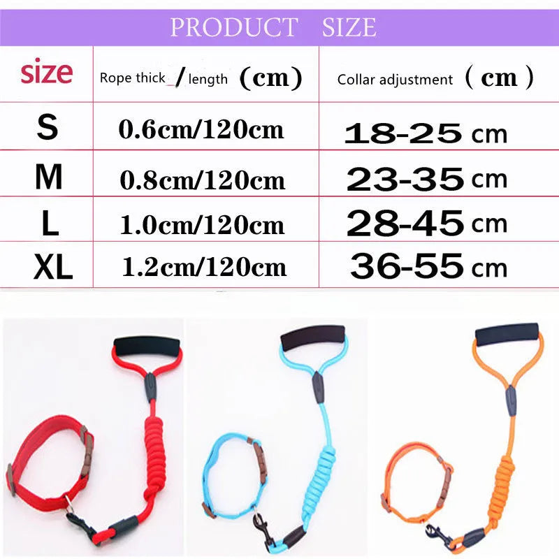 Dog collar and metal chain leash set in seven colours, sizes S to XL for dogs from 6 kg to 80 kg
