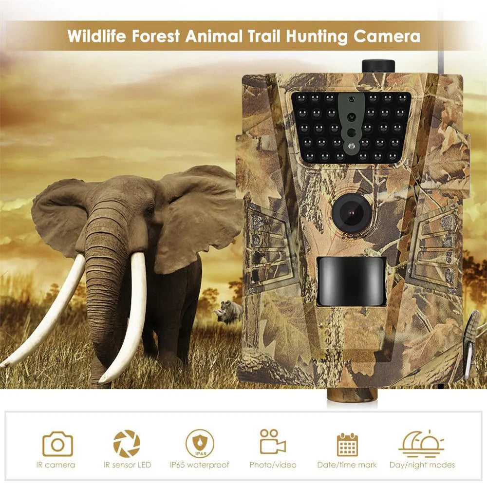 Wireless outdoor trail camera for orchard surveillance with night vision