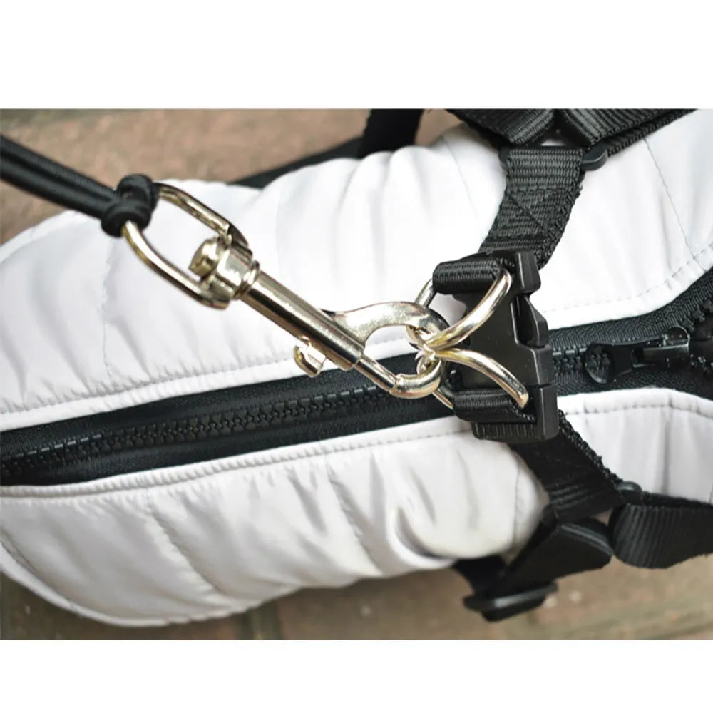 Stainless steel bike leash for dogs, black, 44cm handle, 2.2cm diameter, leash extends to 190cm.
