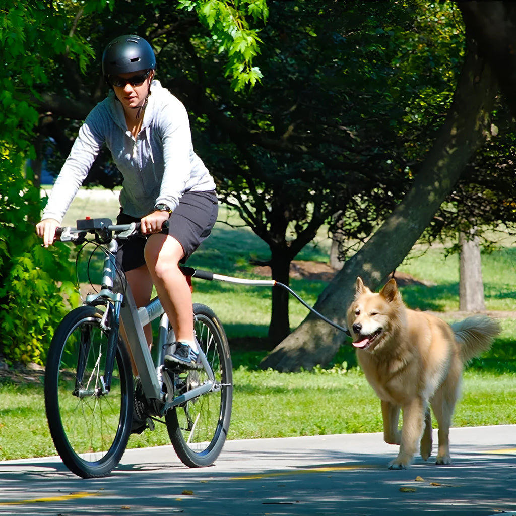 Stainless steel bike leash for dogs, black, 44cm handle, 2.2cm diameter, leash extends to 190cm.