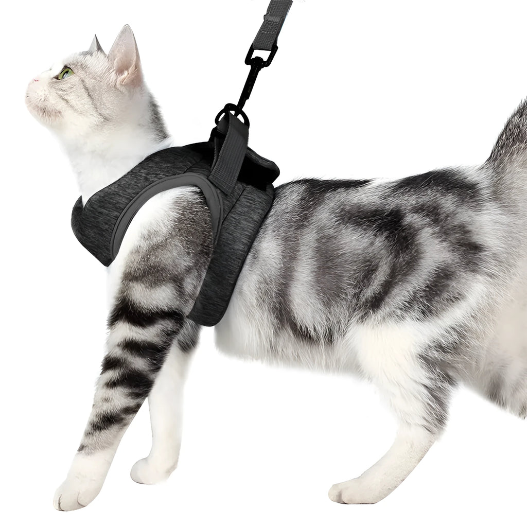 Chest harness cat leash vest in dark grey with 1.2 metre rope, lightweight design for cats 2-13 kg