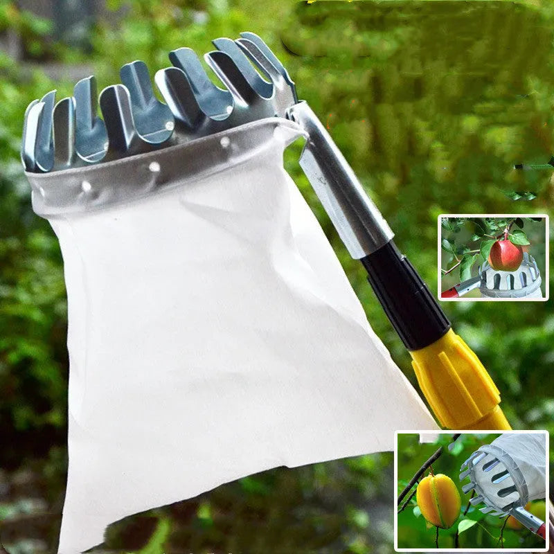 Steel and cloth fruit picker with catcher bag for harvesting citrus, pears, and peaches.
